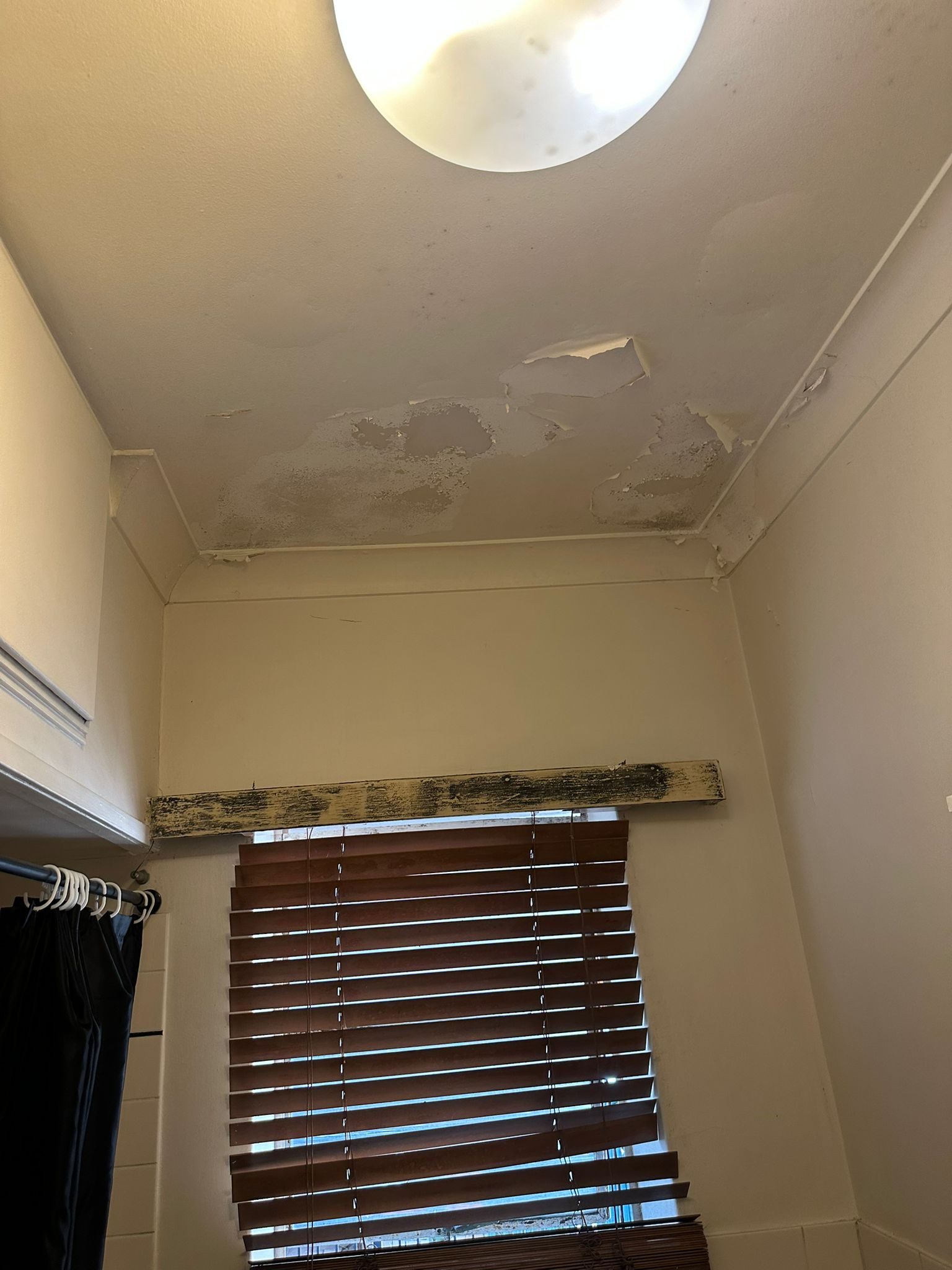 Before: ceiling prior to repaint, Hamilton