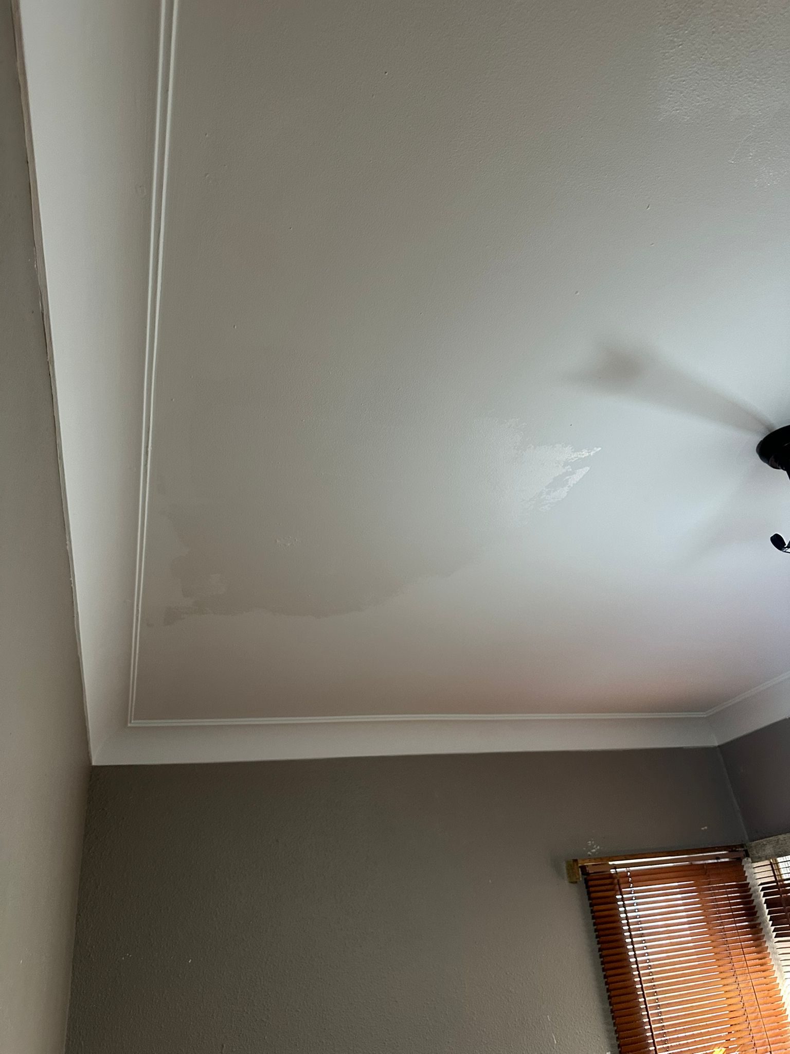 Before: ceiling prior to repaint, Hamilton